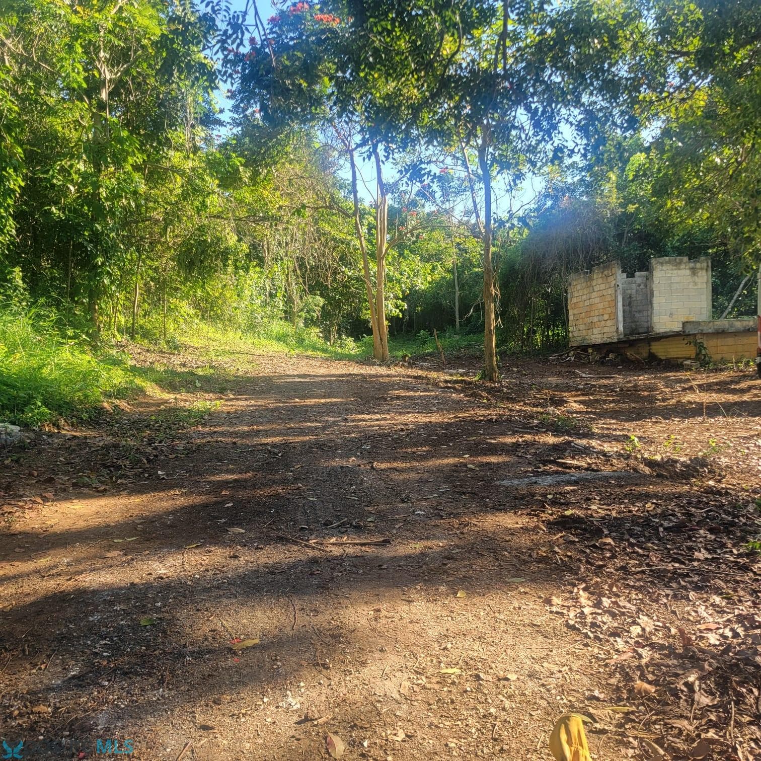 475 Bo Arenales Bajos