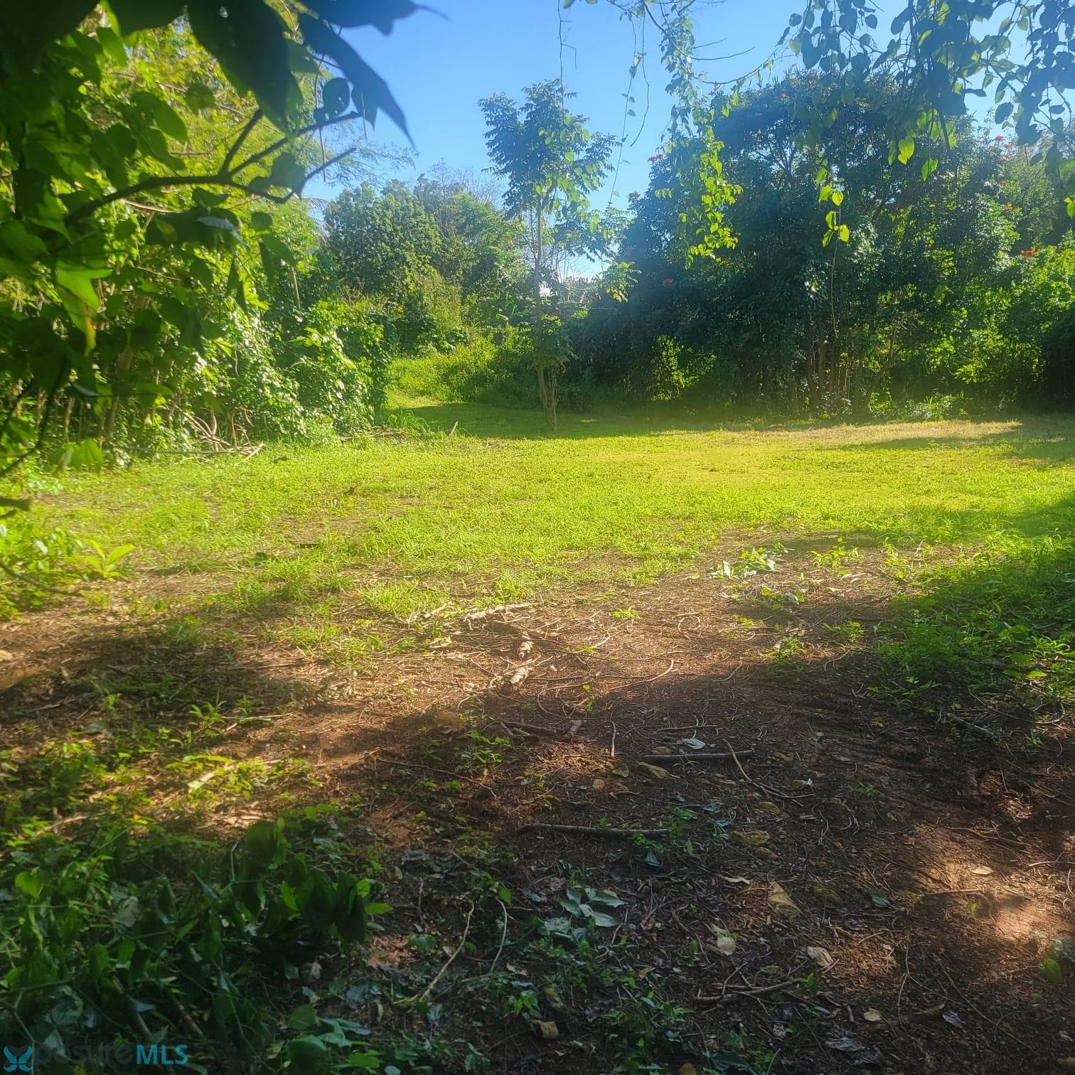 475 Bo Arenales Bajos
