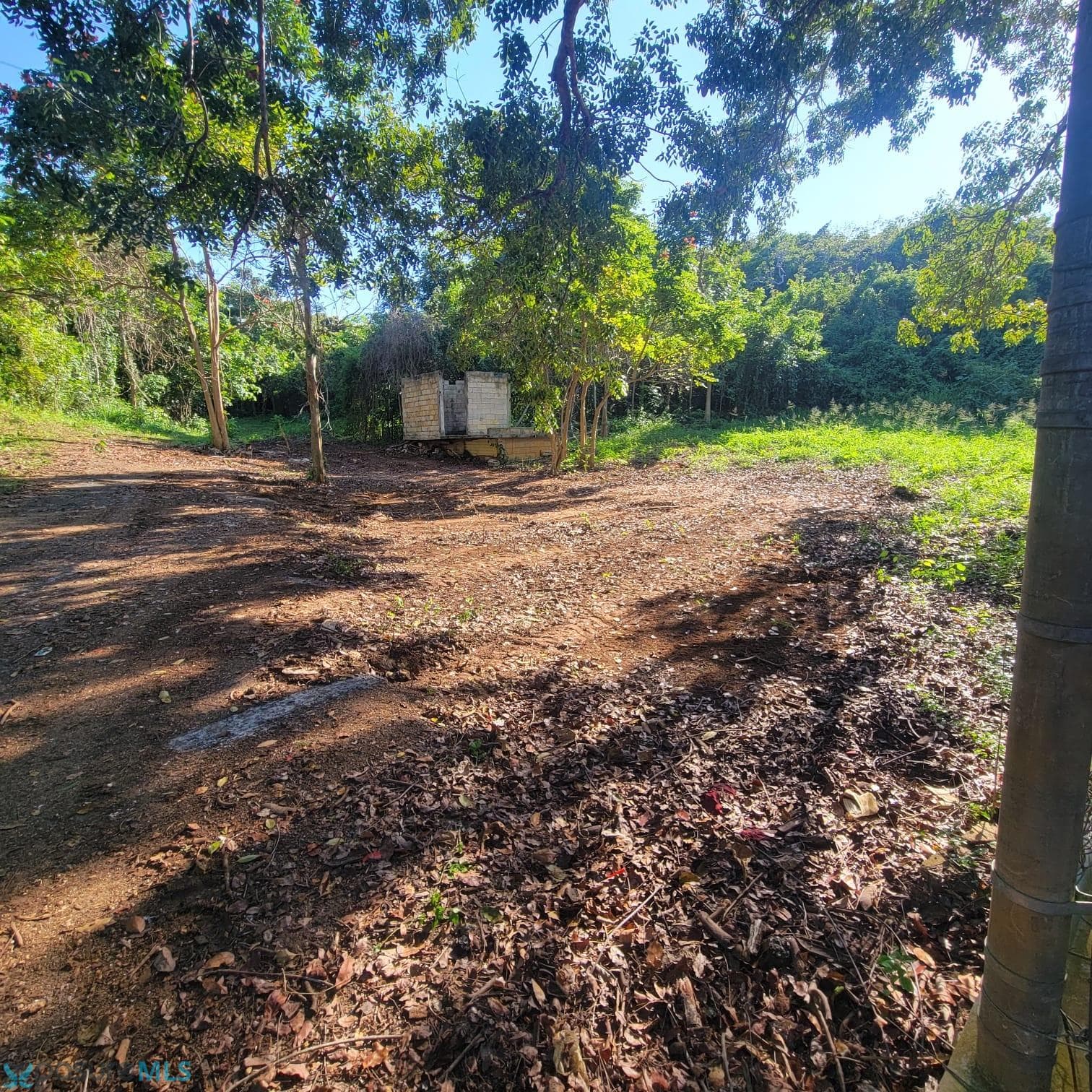 475 Bo Arenales Bajos